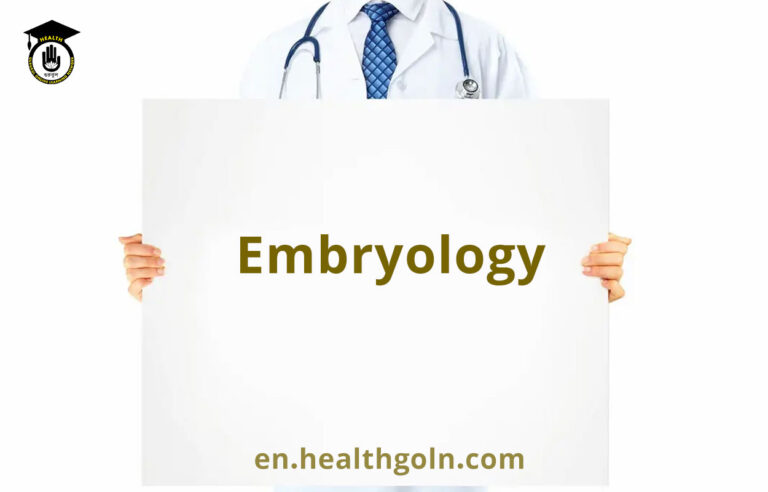 Embryology